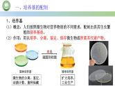 高中生物人教版选择性必修3  1.2微生物的培养技术及应用 第1课时 微生物的基本培养技术课件