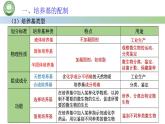 高中生物人教版选择性必修3  1.2微生物的培养技术及应用 第1课时 微生物的基本培养技术课件