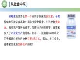 高中生物人教版选择性必修3  1.3发酵工程及其应用 第1课时 发酵工程的基本环节 课件