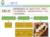 高中生物人教版选择性必修3  1.3发酵工程及其应用 第1课时 发酵工程的基本环节 课件