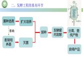高中生物人教版选择性必修3  1.3发酵工程及其应用 第1课时 发酵工程的基本环节 课件