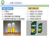 高中生物人教版选择性必修3  1.3发酵工程及其应用 第2课时 发酵工程的应用 课件