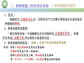 高中生物人教版选择性必修3  2.1植物细胞工程  第1课时 植物细胞工程的基本技术 课件
