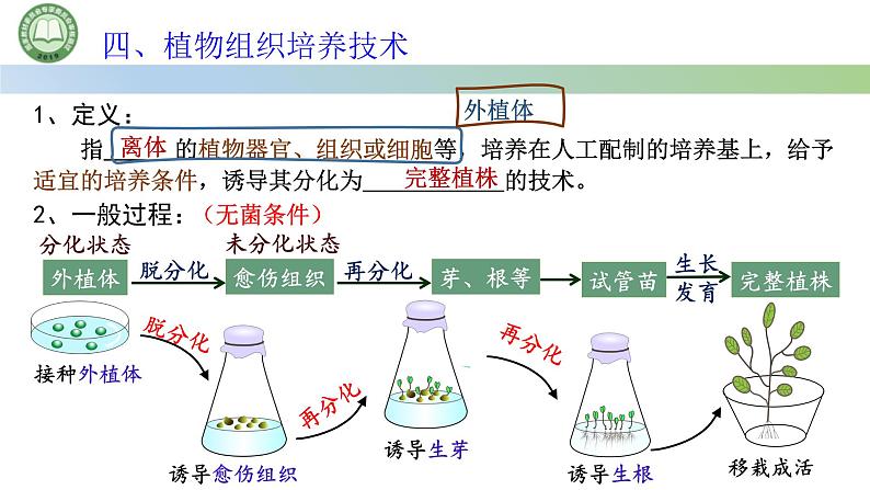 高中生物人教版选择性必修3  2.1植物细胞工程  第1课时 植物细胞工程的基本技术 课件第8页