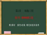 高中生物人教版选择性必修3  2.1植物细胞工程  第2课时 探究•实践 菊花的组织培养 课件