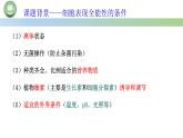 高中生物人教版选择性必修3  2.1植物细胞工程  第2课时 探究•实践 菊花的组织培养 课件