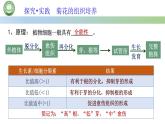 高中生物人教版选择性必修3  2.1植物细胞工程  第2课时 探究•实践 菊花的组织培养 课件