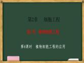 高中生物人教版选择性必修3 2.1植物细胞工程  第4课时  植物细胞工程的应用 课件