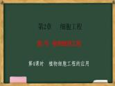 高中生物人教版选择性必修3 2.1植物细胞工程  第4课时  植物细胞工程的应用 课件