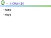 高中生物人教版选择性必修3 2.1植物细胞工程  第4课时  植物细胞工程的应用 课件