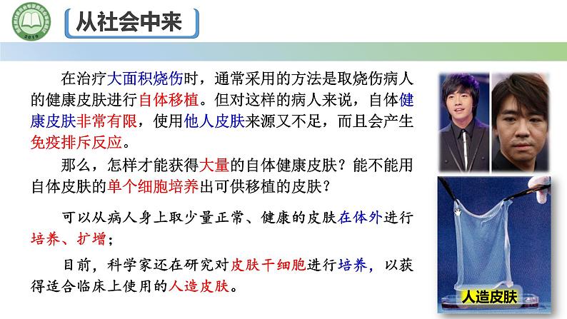 高中生物人教版选择性必修3 2.2动物细胞工程  第1课时 动物细胞培养 课件第2页