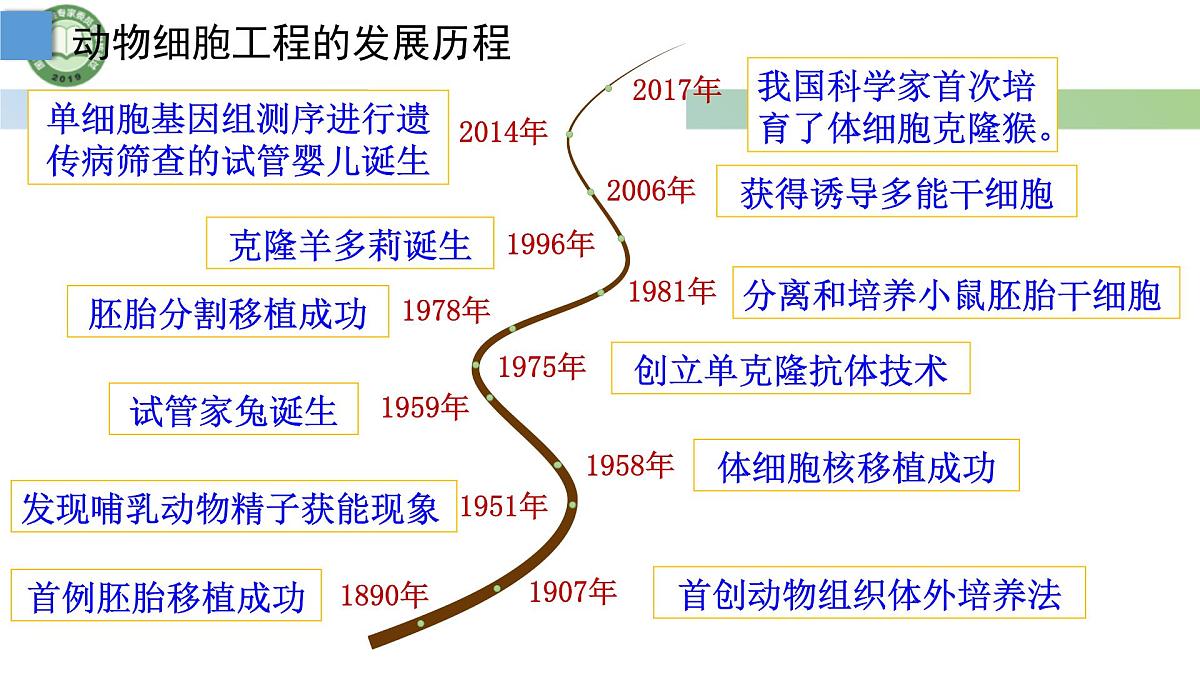 高中生物人教版选择性必修3 2.2动物细胞工程  第1课时 动物细胞培养 课件第3页