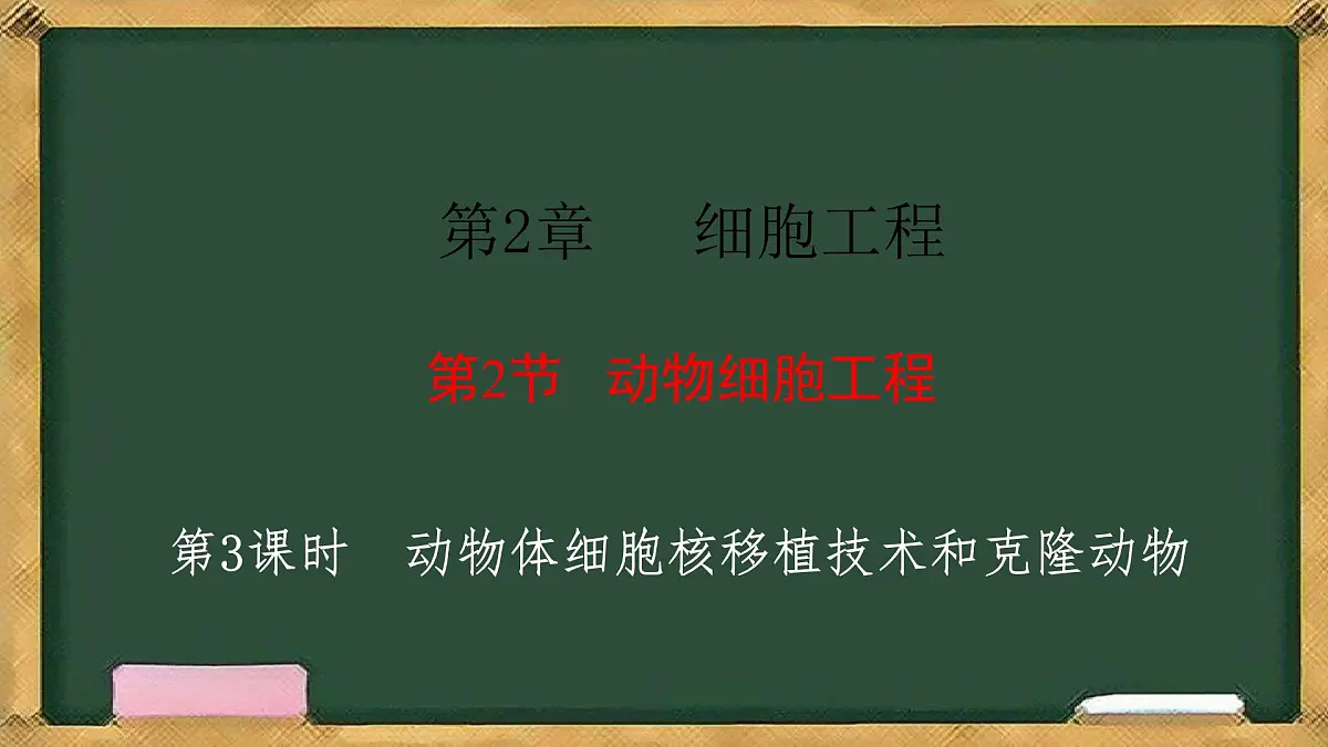 高中生物人教版选择性必修3 2.2动物细胞工程 第3课时 动物体细胞核移植技术和克隆动物 课件第1页