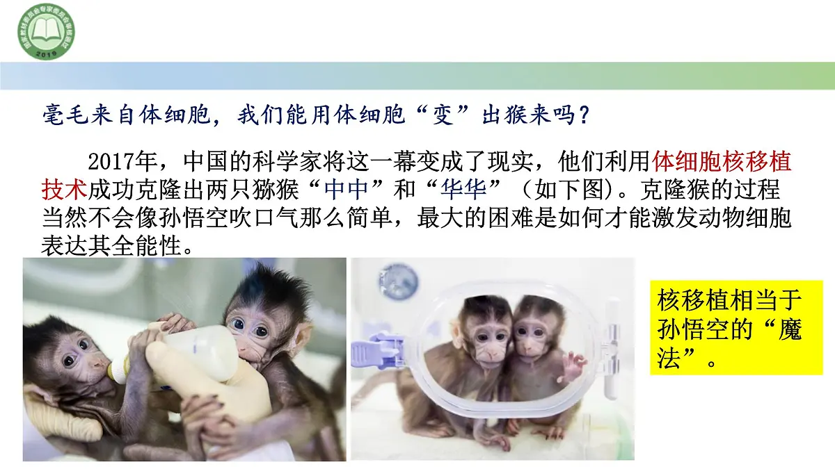 高中生物人教版选择性必修3 2.2动物细胞工程 第3课时 动物体细胞核移植技术和克隆动物 课件第3页