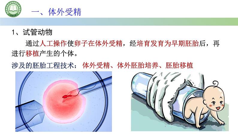 高中生物人教版选择性必修3  2.3胚胎工程  第2课时 胚胎工程技术及其应用（一） 课件第3页