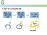 高中生物人教版选择性必修3  3.1重组 DNA 技术的基本工具  第1课时 重组 DNA 技术的基本工具（一） 课件