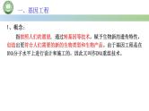 高中生物人教版选择性必修3  3.1重组 DNA 技术的基本工具  第1课时 重组 DNA 技术的基本工具（一） 课件