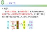 高中生物人教版选择性必修3  3.1重组 DNA 技术的基本工具  第1课时 重组 DNA 技术的基本工具（一） 课件