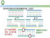 高中生物人教版选择性必修3  3.1重组 DNA 技术的基本工具  第2课时 重组 DNA 技术的基本工具（二） 课件