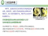 高中生物人教版选择性必修3  3.2基因工程的基本操作程序  第1课时 基因工程基本操作程序的步骤（一） 课件