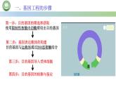 高中生物人教版选择性必修3  3.2基因工程的基本操作程序  第1课时 基因工程基本操作程序的步骤（一） 课件