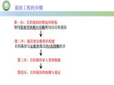 高中生物人教版选择性必修3  3.2基因工程的基本操作程序  第2课时 基因工程基本操作程序的步骤（二） 课件