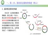 高中生物人教版选择性必修3  3.2基因工程的基本操作程序  第2课时 基因工程基本操作程序的步骤（二） 课件
