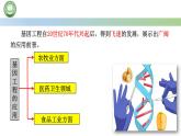 高中生物人教版选择性必修3  3.3基因工程的应用 课件