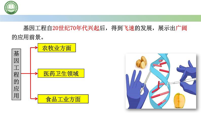 高中生物人教版选择性必修3  3.3基因工程的应用 课件第3页