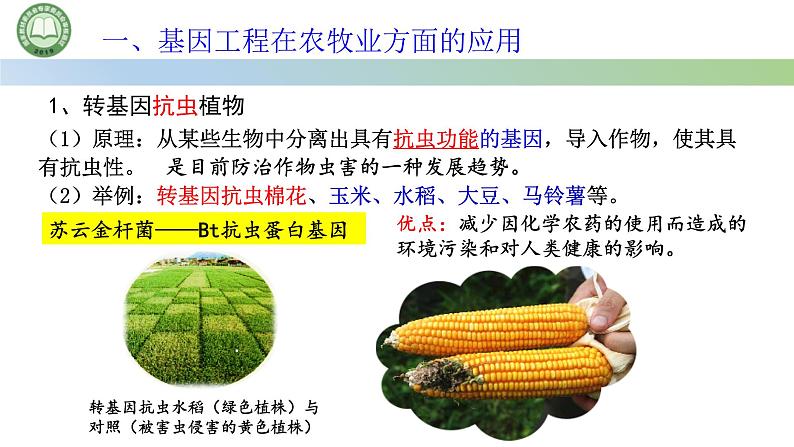 高中生物人教版选择性必修3  3.3基因工程的应用 课件第7页