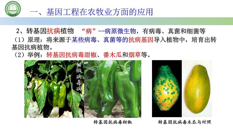 高中生物人教版选择性必修3  3.3基因工程的应用 课件第8页