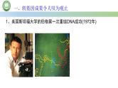 高中生物人教版选择性必修3  4.1转基因产品的安全性 课件