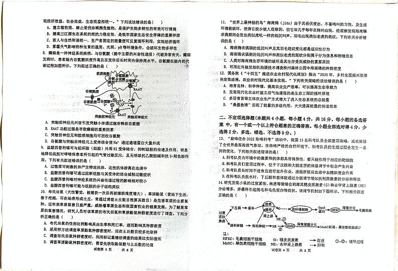 湖南省岳阳县第一中学2024—2025学年高二下学期入学考试生物试题第2页