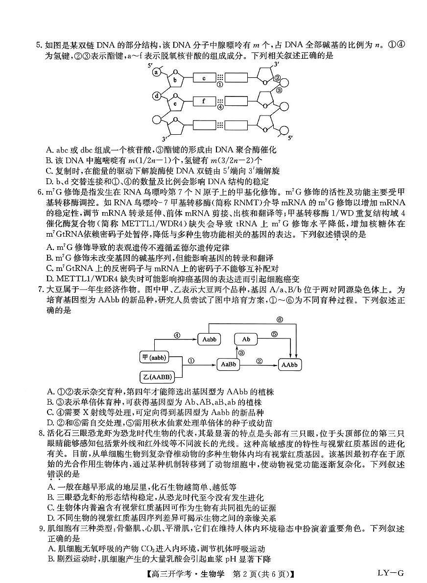 九师联盟2025年高三下学期2月联考-生物试题+答案第2页