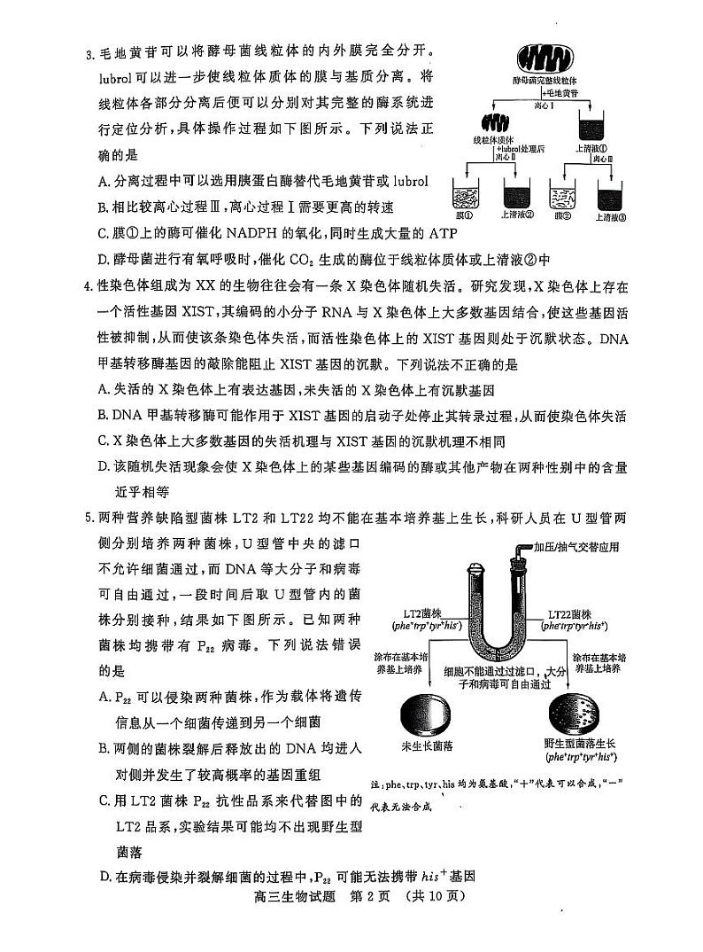 山东省名校考试联盟2025届高三下学期2月开学考生物试卷+答案第2页