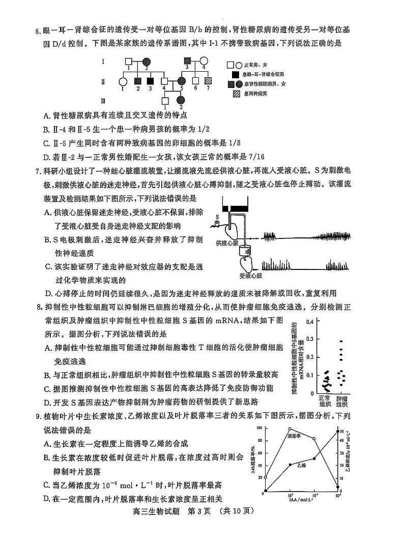 山东省名校考试联盟2025届高三下学期2月开学考生物试卷+答案第3页