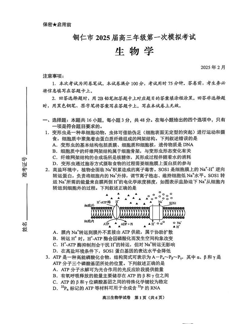 贵州省贵阳市2025年高三年级高考模拟适应性考试（一）-生物试题+答案第1页