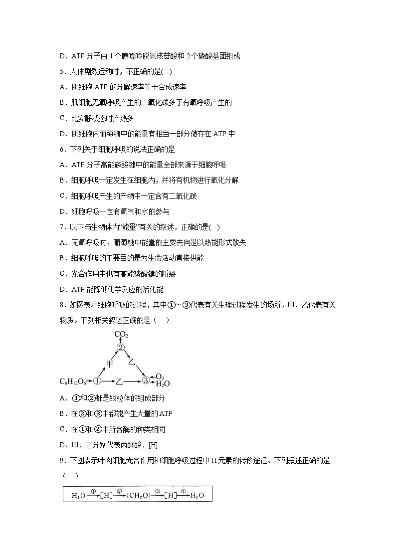 高中生物单元分层过关检测必修一第5章细胞的能量供应和利用单元测试（B卷）含答案第2页