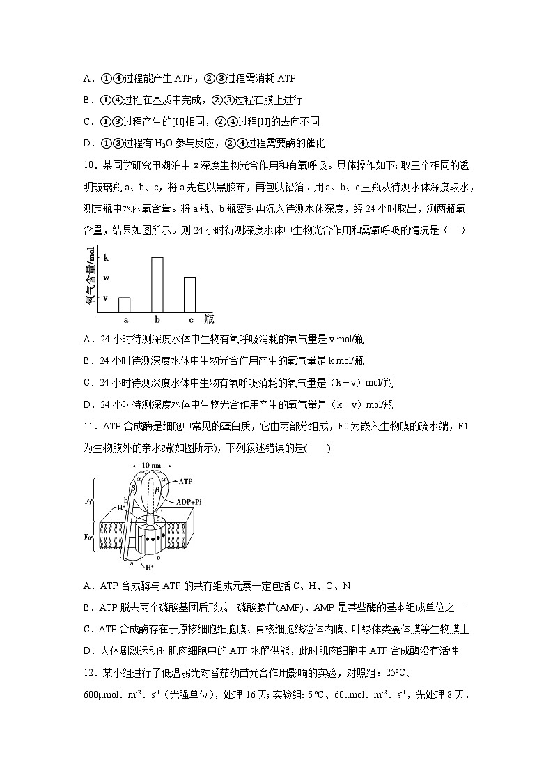 高中生物单元分层过关检测必修一第5章细胞的能量供应和利用单元测试（B卷）含答案第3页