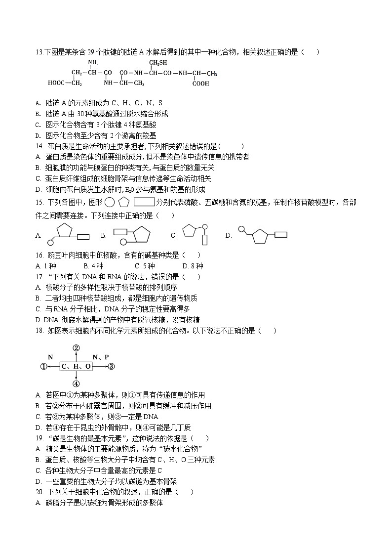 云南省昆明市第十四中学2023-2024学年高一上学期期中生物试题第3页