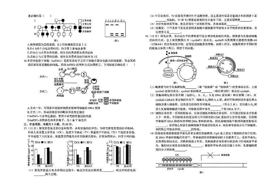 金太阳2025届高三下学期2月开学考（25-323C）-生物试题+答案第3页