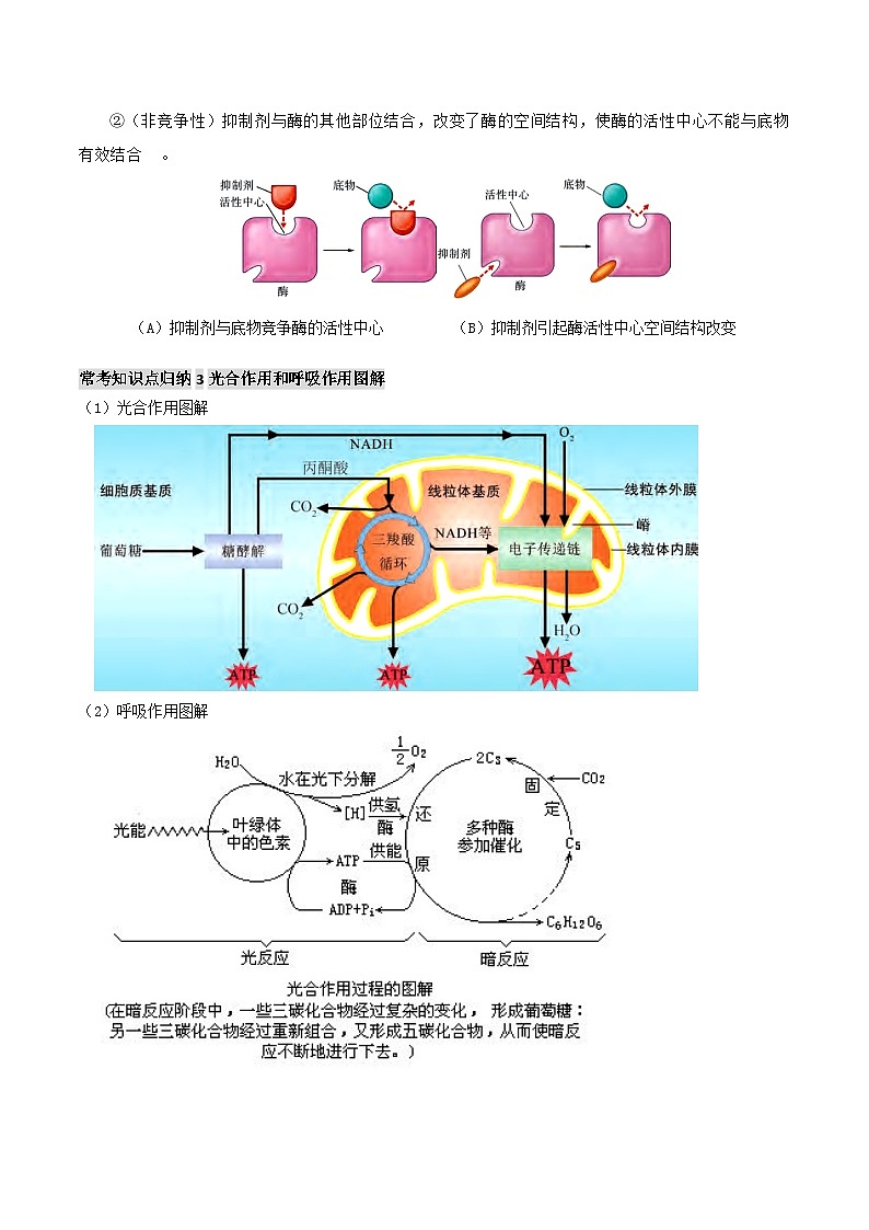 专题02 细胞的代谢-2025年高考生物 热点 重点 难点 专练（上海专用）（原卷版）第2页