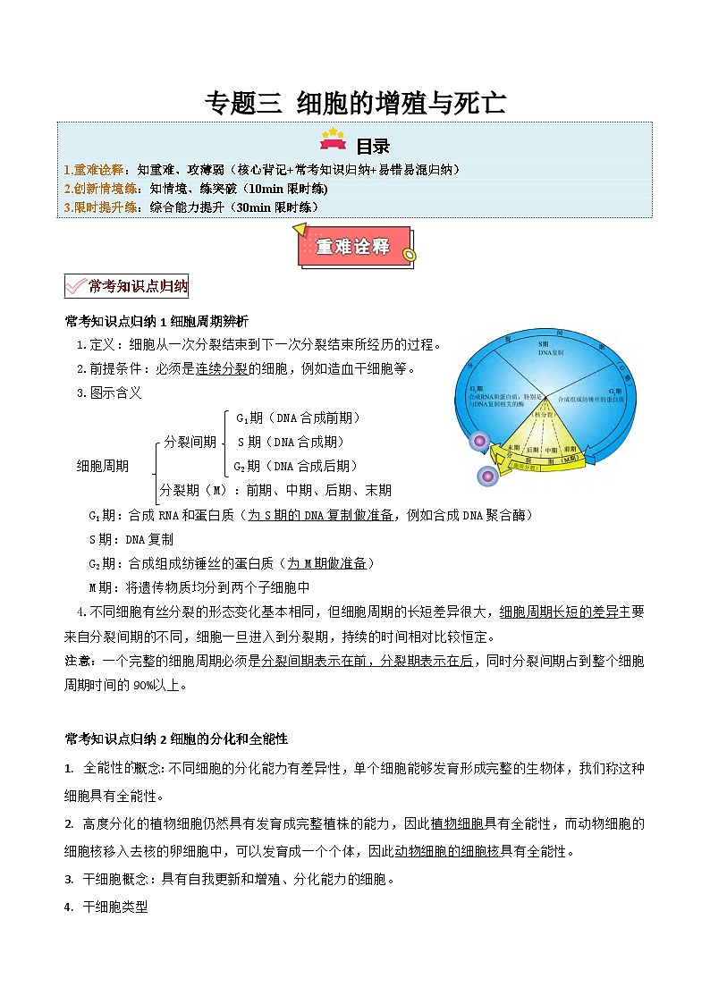 专题03 细胞的增殖与死亡-2025年高考生物 热点 重点 难点 专练（上海专用）（原卷版）第1页