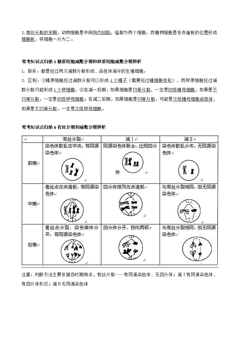 专题03 细胞的增殖与死亡-2025年高考生物 热点 重点 难点 专练（上海专用）（原卷版）第3页