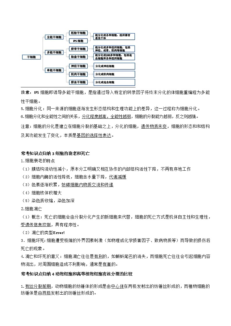 专题03 细胞的增殖与死亡-2025年高考生物 热点 重点 难点 专练（上海专用）（解析版）第2页