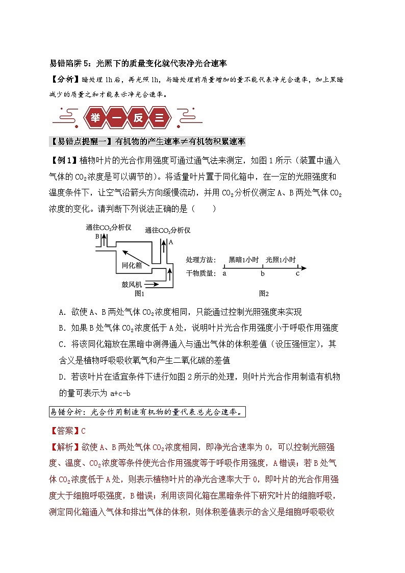 备战2025年新高考生物二轮复习易错题易错点05 光合与呼吸综合专题的“五点”易错防范练习（Word版附解析）第2页