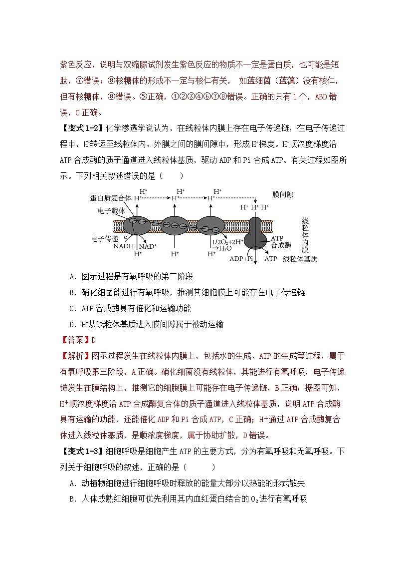 备战2025年新高考生物二轮复习易错题易错点01 真核生物和原核生物的辨析（4大陷阱）练习（Word版附解析）第3页
