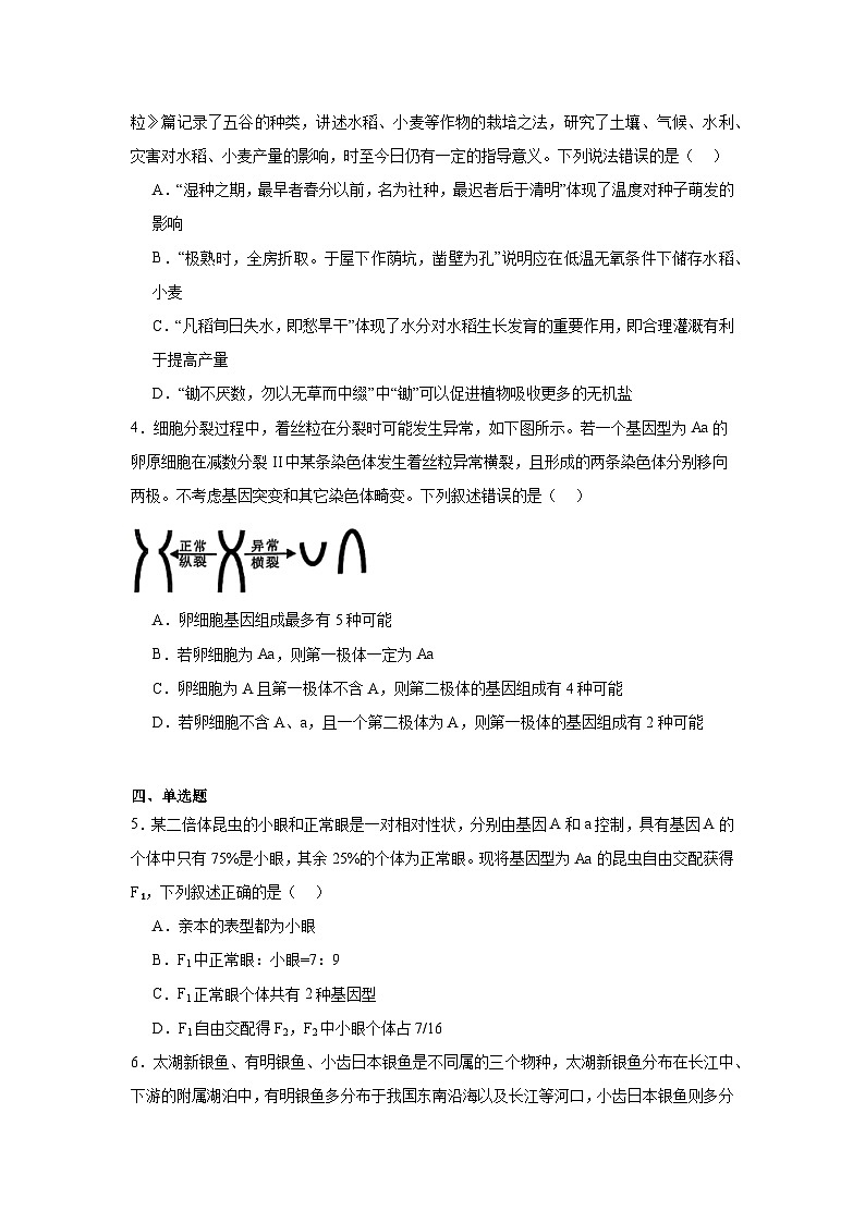 江西省新余市2024—2025学年高三上学期第一次模拟考试生物试卷第2页