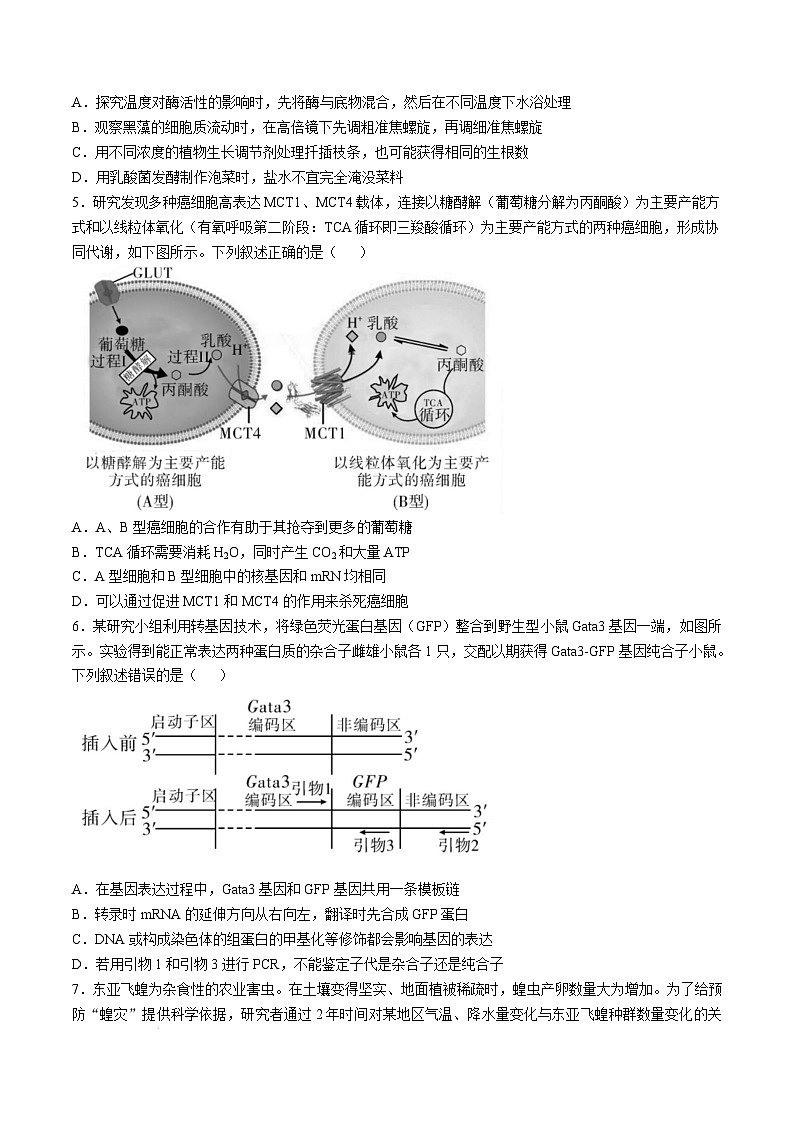 湖南省邵阳市2024-2025学年高三上学期第一次联考（一模）生物试卷（Word版附答案）第2页
