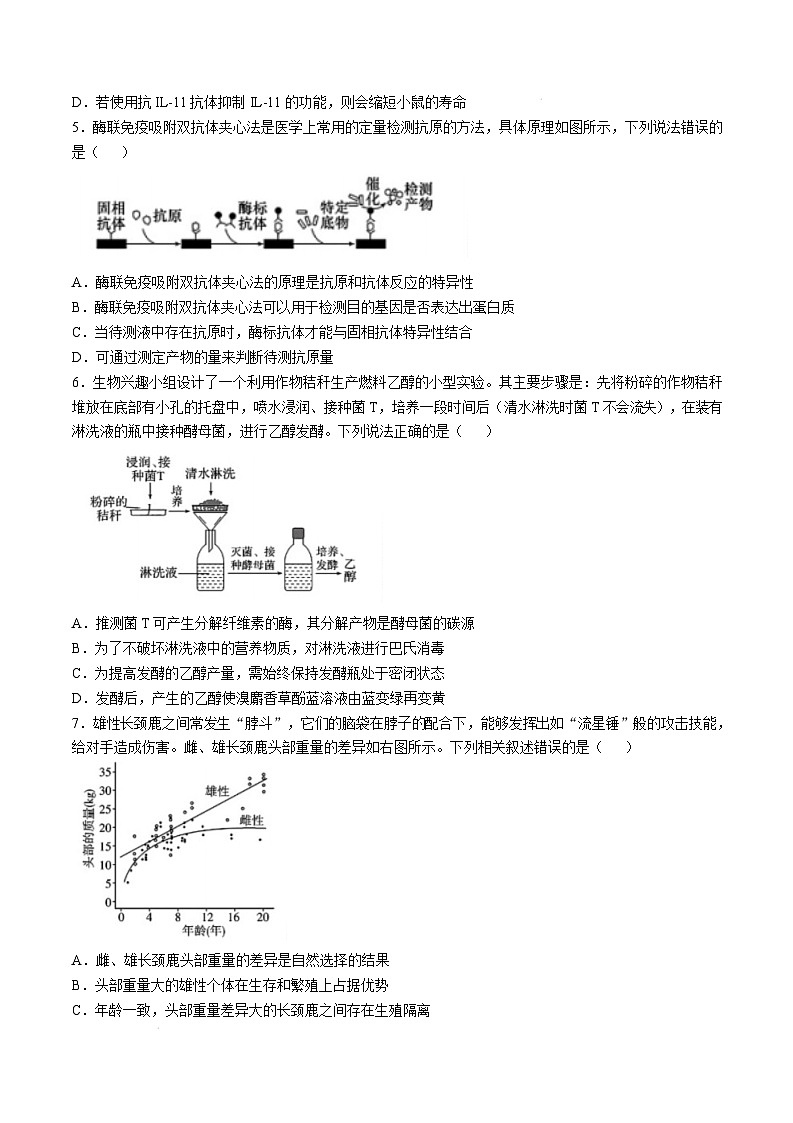 湖南省长沙市长郡中学2024-2025学年高三上学期月考生物（五）试卷（Word版附解析）第2页